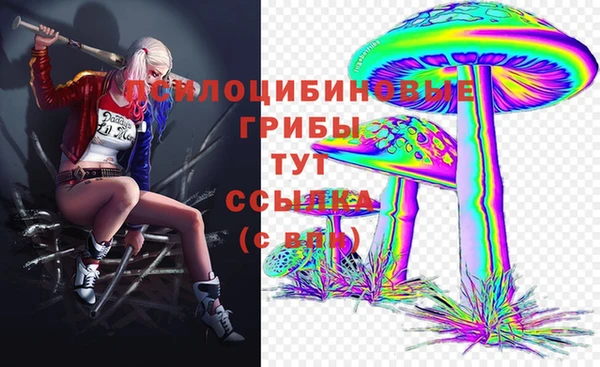 ALPHA PVP Пестово