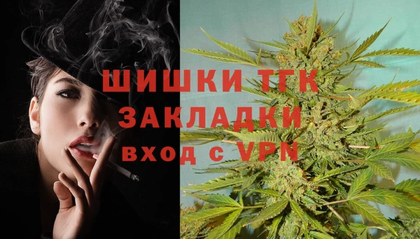 сатива Пересвет