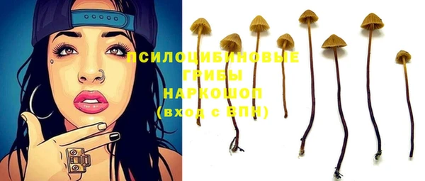 сатива Пересвет