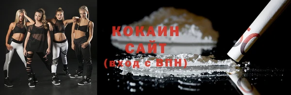сатива Пересвет
