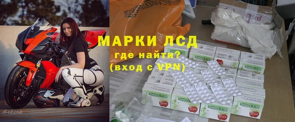сатива Пересвет