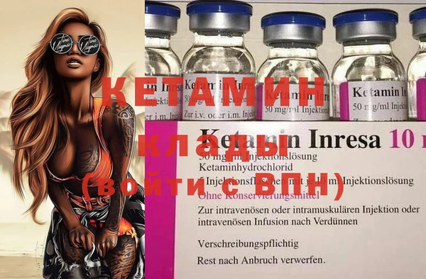 сатива Пересвет