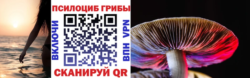 купить наркотики цена кракен зеркало Псилоцибиновые грибы ЛСД Пласт